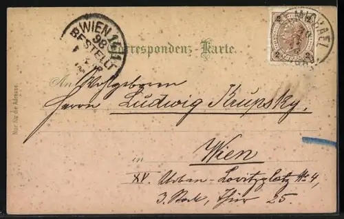 Lithographie St. Michael i. Lungau, Schloss Moosham, Rothgüldensee u. Hafnereck