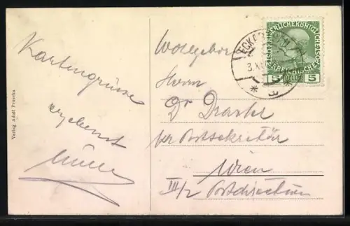 AK Eckartsau, Strassenpartie mit Häusern