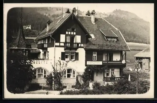 Foto-AK Kitzbühel, Eckinger Hof mit Bergen im Hintergrund