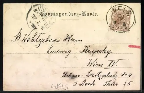 AK Wels, Blick in die Schmiedgasse