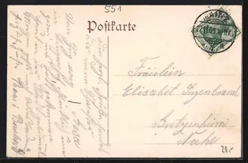 AK Mainz, Totalansicht, Stadtpark