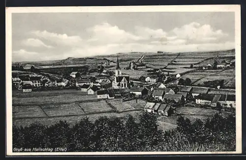 AK Hallschlag / Eifel, Blick auf das Dorf