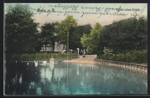 AK Burg a. F., Schwanen-Teich, Partie mit Gebäude
