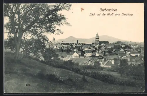 AK Grebenstein, Stadtansicht vom Burgberg aus