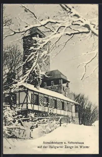 AK Hallgarten / Rheingau, Aussichtsturm und Schutzhaus auf der Hallgarter Zange im Winter