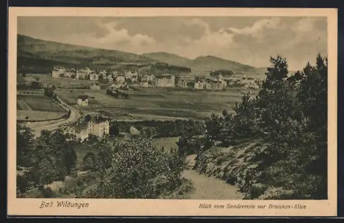 AK Bad Wildungen, Blick vom Sonderrain zur Brunnen-Allee