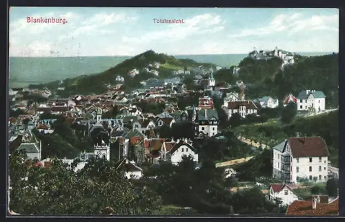 AK Blankenburg / Harz, Blick über die Dächer des Ortes