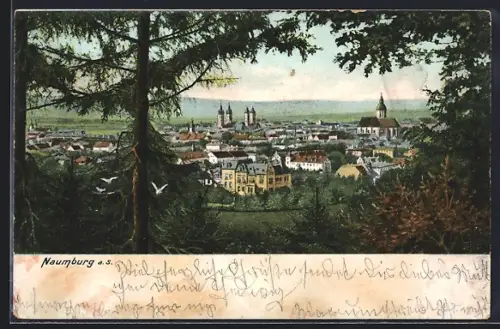 AK Naumburg / Saale, Totalansicht mit Kirchen