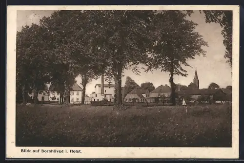 AK Bornhöved i. Holst., Blick auf die Ortschaft