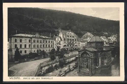AK Wildbad / Schwarzwald, Partie bei der Trinkhalle