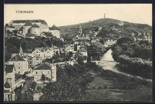 AK Tübingen, Schloss, Neckar, Stadtansicht