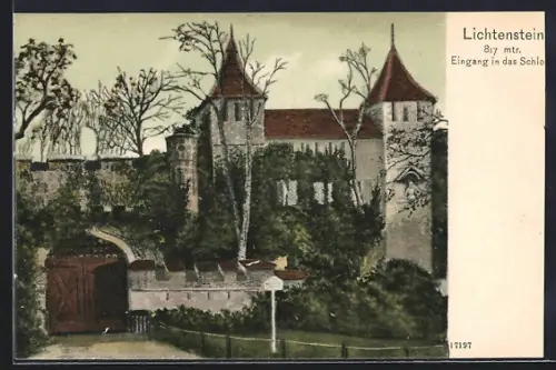 AK Lichtenstein / Echaztal, Eingang in das Schloss