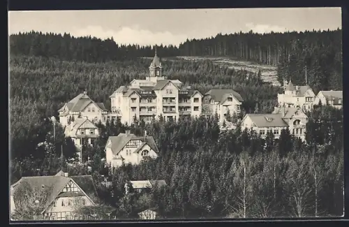 AK Schierke, Kurhotel Barenberger Hof, Hotel-Dependance d. Sanatorium Schierke, Villenkolonie Barenberg