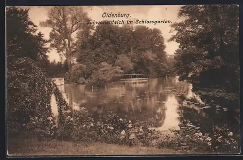 AK Oldenburg / O., Schwanenteich im Schlossgarten