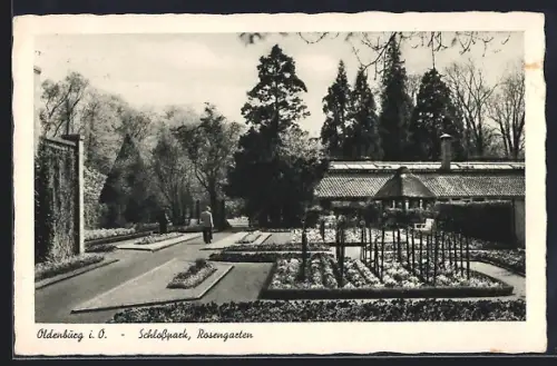 AK Oldenburg i. O., Schlosspark, Rosengarten