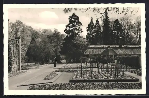 AK Oldenburg i. O., Rosengarten im Schlosspark