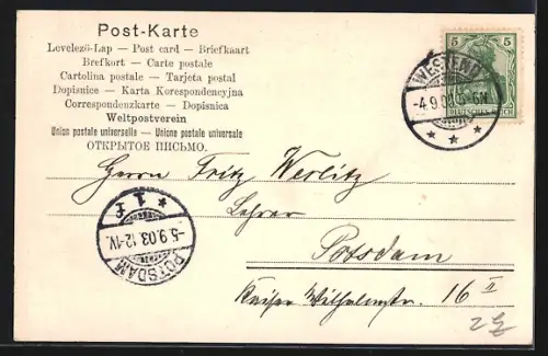 AK Grunewald, Jagdschloss