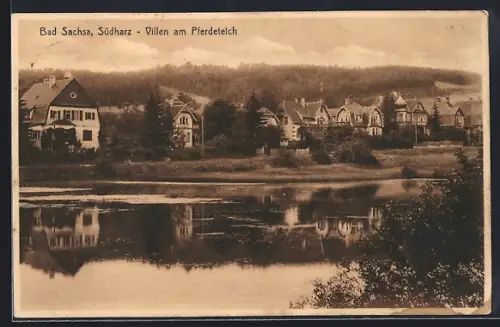 AK Bad Sachsa /Südharz, Villen am Pferdeteich