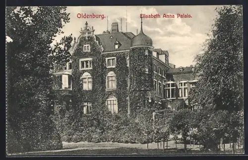 AK Oldenburg / O., Elisabeth Anna Palais