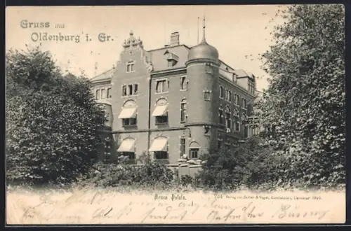 AK Oldenburg i. Gr., Neues Palais vom Garten aus