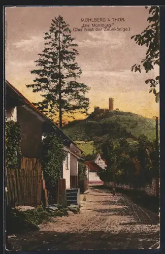 AK Mühlberg i. Thür., Strassenpartie mit Blick zur Mühlburg