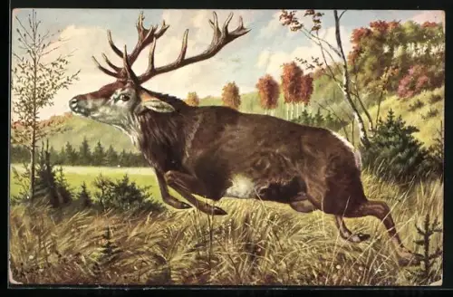 Künstler-AK Kapitaler Hirsch auf der Flucht