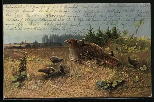Künstler-AK M. Müller jun.: Rebhuhn mit Küken in einer kargen Landschaft