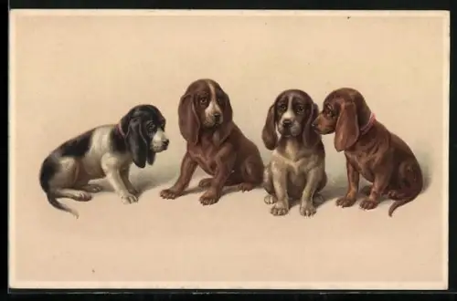 Künstler-AK Junge Jagdhunde sitzen in einer Reihe