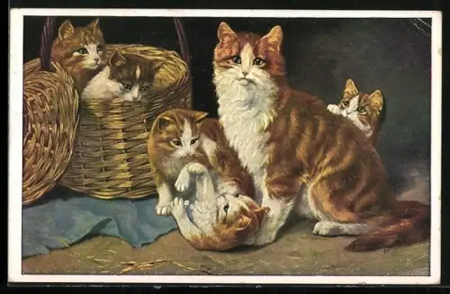 AK hübsche Katzenmutter mit spielenden Kätzchen