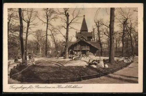 AK Berlin, Zoologischer Garten, Freigehege für Renntiere mit Hirschblockhaus
