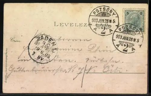 AK Pressburg, Ortsansicht, Dampfer