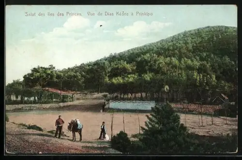 AK Prinkipo, Vue de Dias Kedos mit Anwohnern