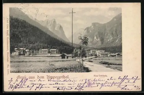 AK Neu-Toblach /Ampezzothal, Ortsansicht mit Landstrasse