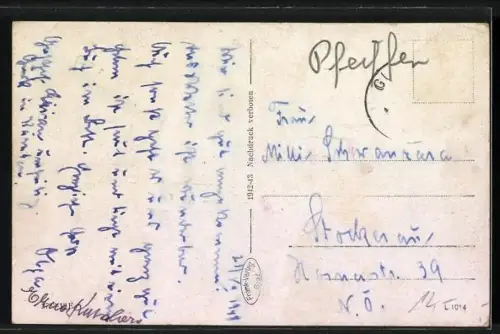 AK Gurk, Erian`s Gasthof, Ortsansicht