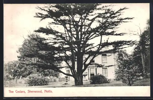 AK Sherwood, The Cedars