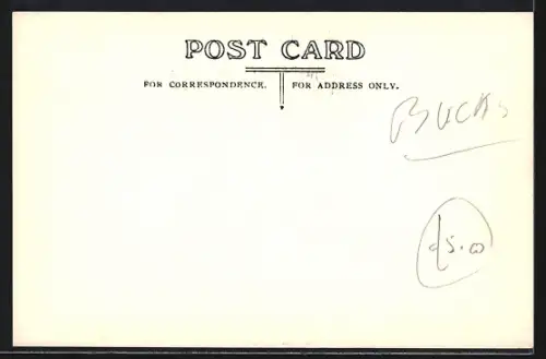 AK Latimer, Panorama