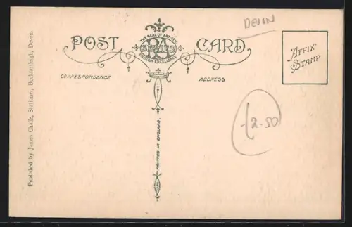 AK Buckfastleigh, Panorama