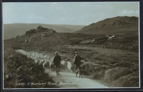 AK Dartmoor, A Moorland Road