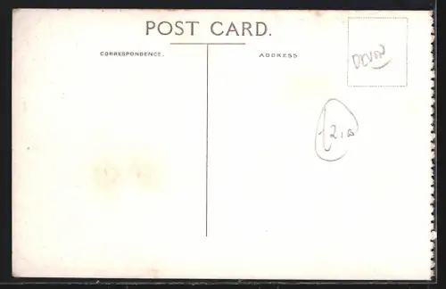 AK Simonsbath, Birds Eye View