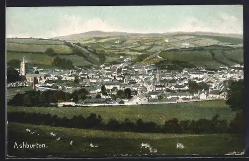 AK Ashburton, Aerial View