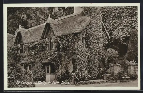 AK Blackpool /South Devon, Old Cottages