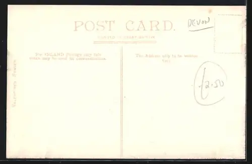 AK Moretonhampstead, Old Elm Tree