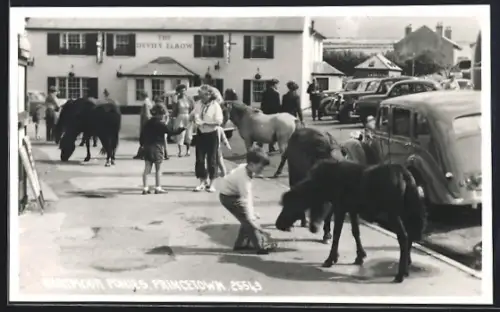 AK Princetown, Dartmoor Ponies in front of The Devil`s Elbow Inn