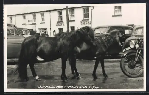AK Princetown, Dartmoor Ponies in front of Ford`s Cafe