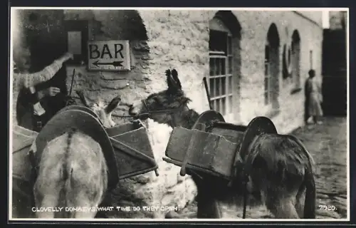 AK Clovelly, Donkeys in front of the Bar, What time do they open