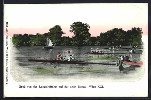 AK Wien, Lustschiffahrt auf der alten Donau, Ruderboote, Segelboot