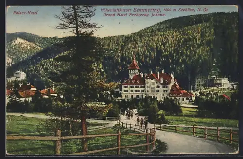 AK Semmering /N.-Ö., Grand Hotel Erzherzog Johann mit Strasse u. Palace-Hotel