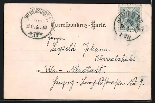 AK Wien, Neuer Markt, Ansicht mit kaiserl. Gruft