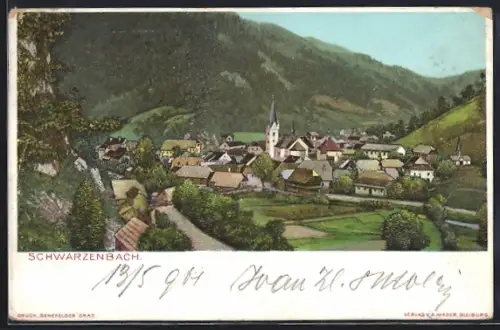 AK Schwarzenbach, Gesamtansicht aus der Vogelschau