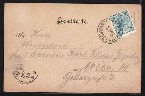 AK Schwarzenbach, Gesamtansicht aus der Vogelschau